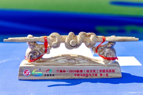 兰海杯2025临潭（冶力关）半程马拉松鸣枪开赛(图10)