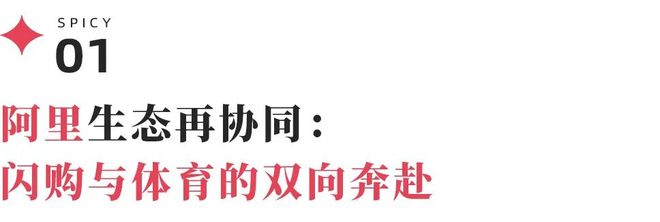 “浙BA”背后的爆款制造机 橙狮体育如何用赛事点燃城市的烟火气(图1)