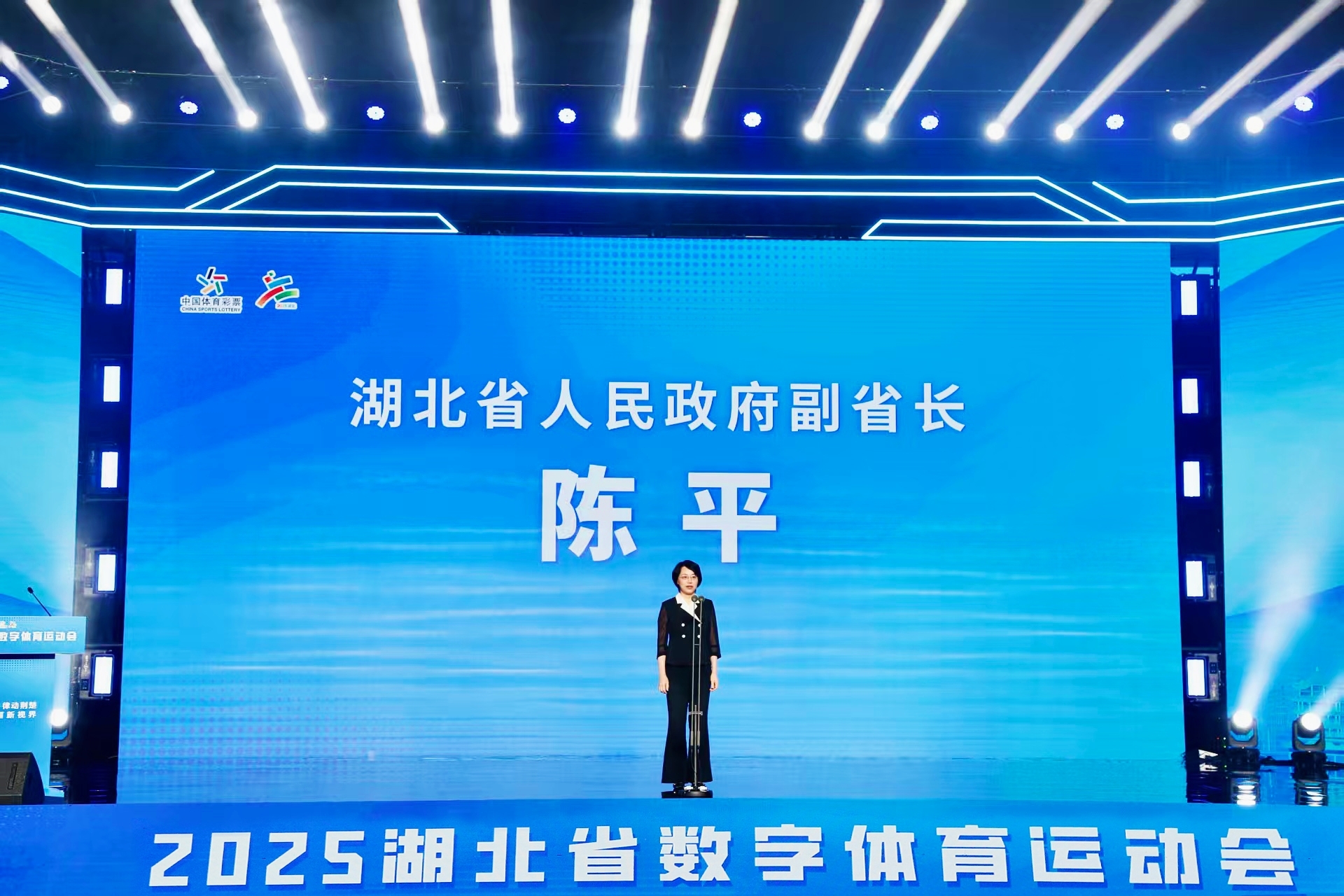 科技“牵手”体育！2025湖北数字体育运动会在武汉开幕(图1)