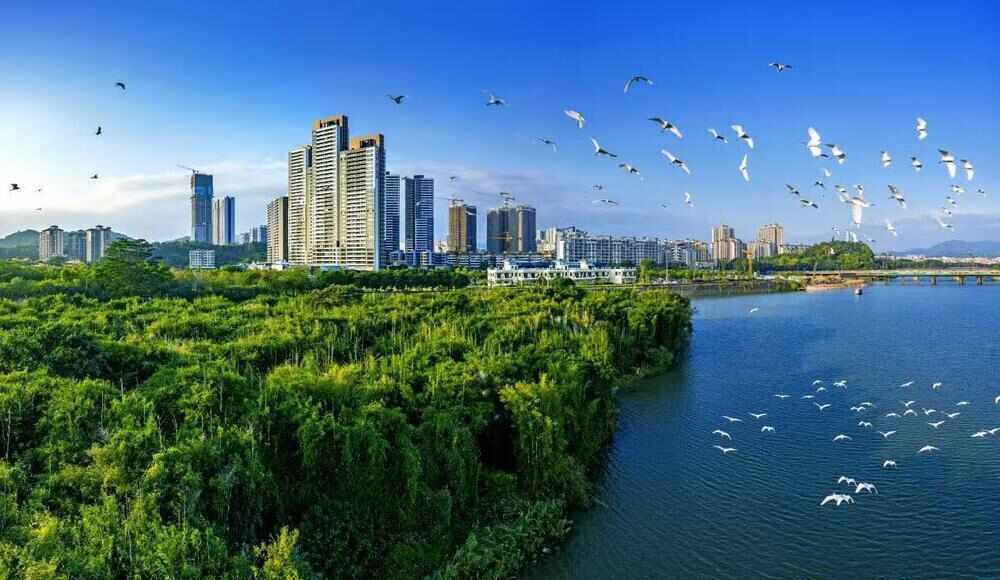 广州增城：以“体育+”为支点撬动“百千万工程”的岭南实践｜羊晚快评(图3)