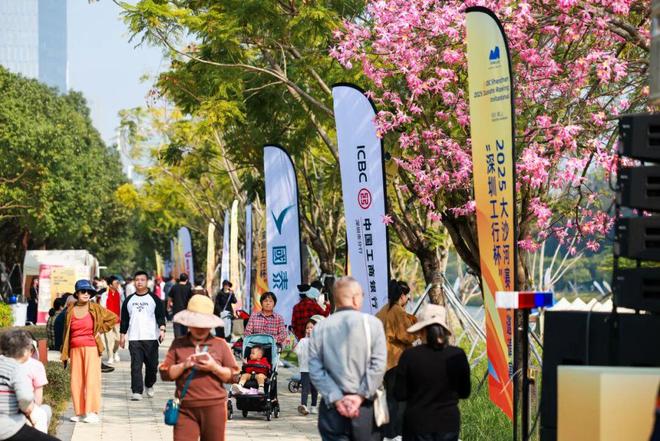 从德国到阿联酋！全球赛艇强队来深圳南山了(图9)