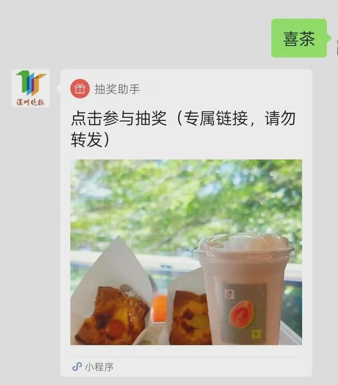 从德国到阿联酋！全球赛艇强队来深圳南山了(图15)