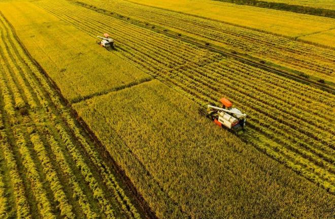 “绿”动新生“华”彩绽放(图4)