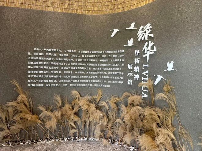 “绿”动新生“华”彩绽放(图3)