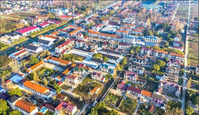 “绿”动新生“华”彩绽放(图1)