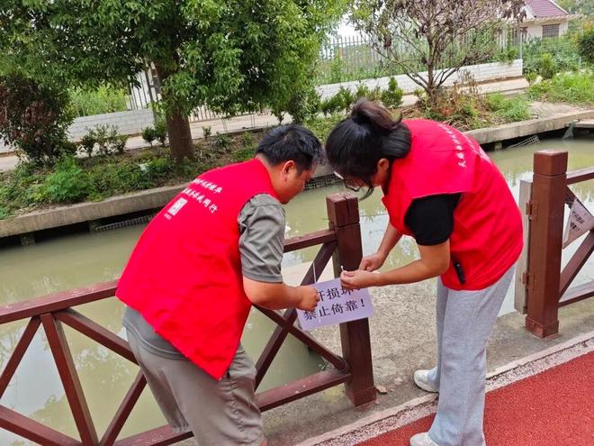 “绿”动新生“华”彩绽放(图13)