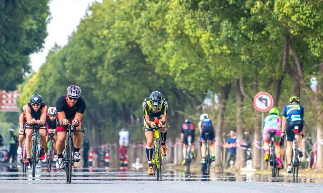 “绿”动新生“华”彩绽放(图8)