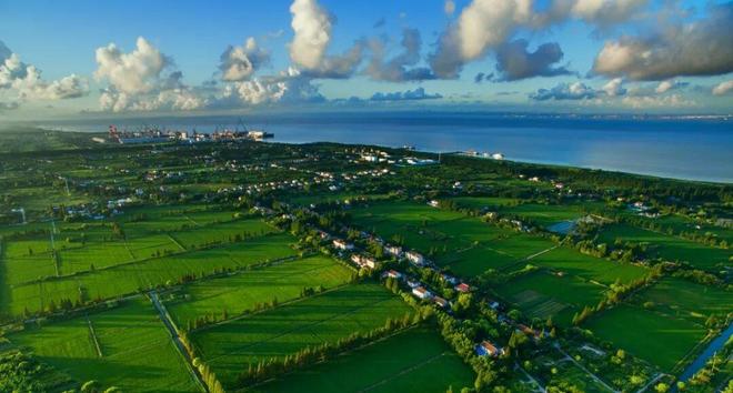 “绿”动新生“华”彩绽放(图5)