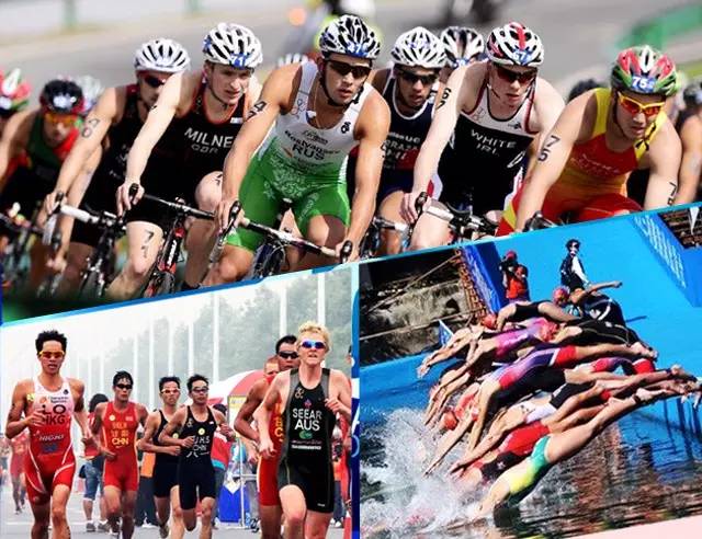 2026年铁人三项服装市场分析报告国内外行业现状与发展趋势(图1)