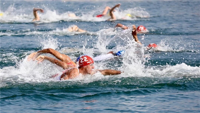 2026-2028年国家铁人三项队数据服务招标：机遇与挑战并存！(图1)