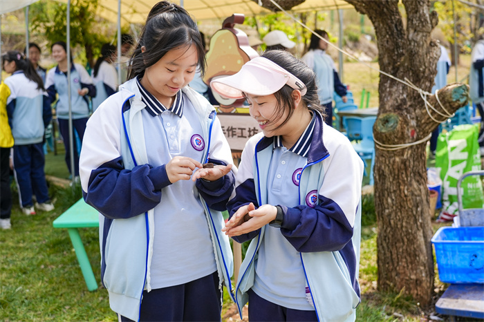 驻马店第二实验小学开展健步走综合实践活动(图1)