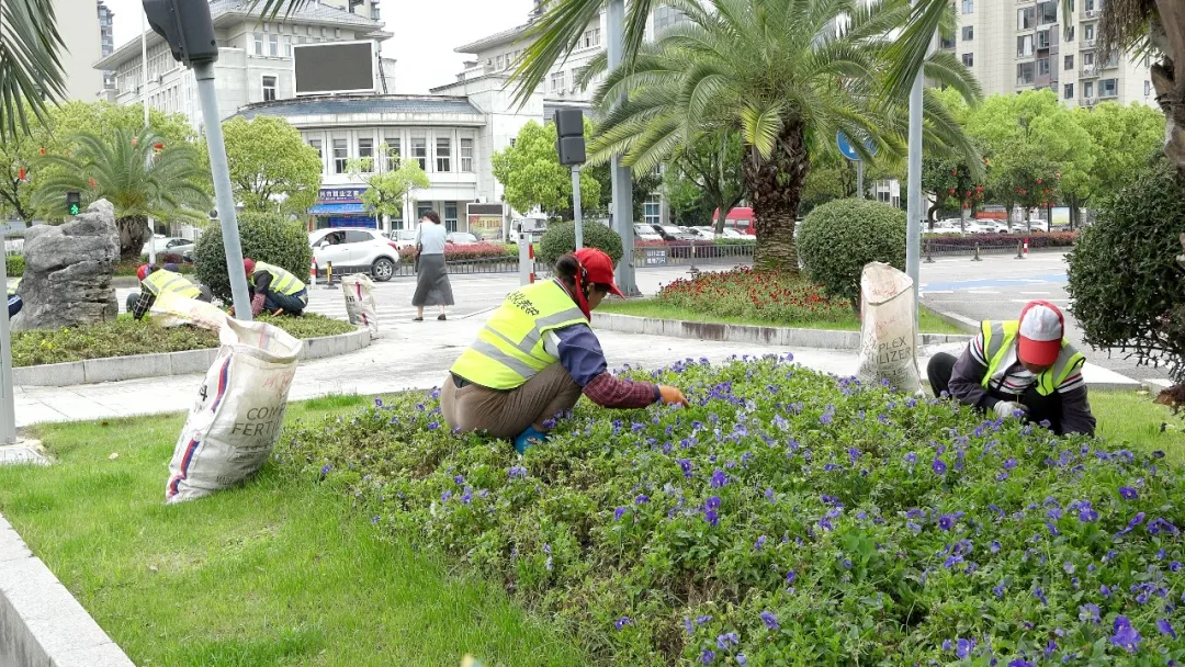 德兴“备战”铁人三项氛围感已拉满！(图2)