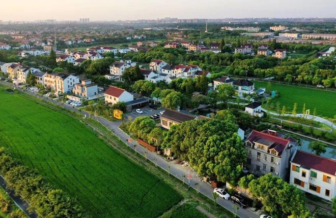 跟着赛事去旅行！来青浦下江南丨2026长三角国际铁人三项赛暨铁人中国T515上海公开赛(图14)